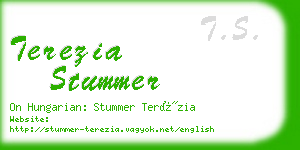 terezia stummer business card